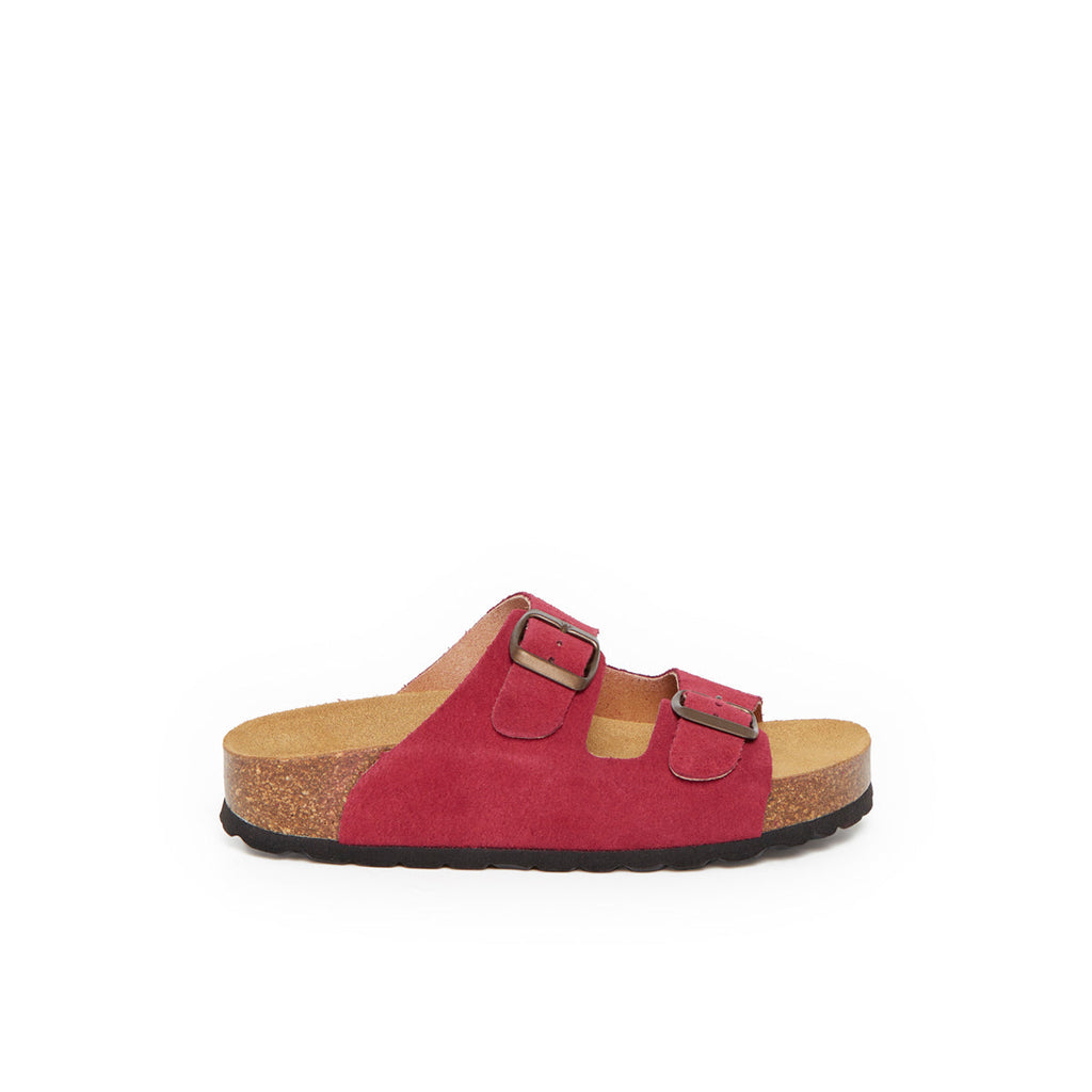 PHINICIA BORDEAUX